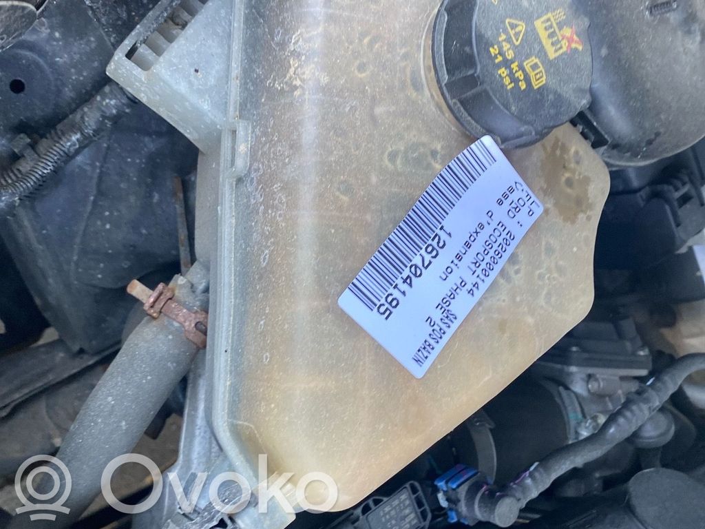 Ford Ecosport Serbatoio di compensazione del liquido refrigerante/coperchio 