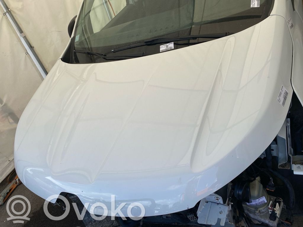Renault Express Vano motore/cofano 