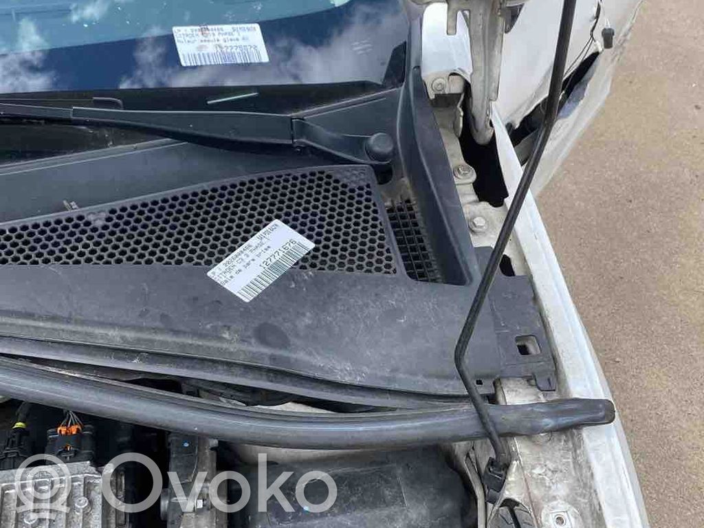 Citroen C3 Moldura del limpia 