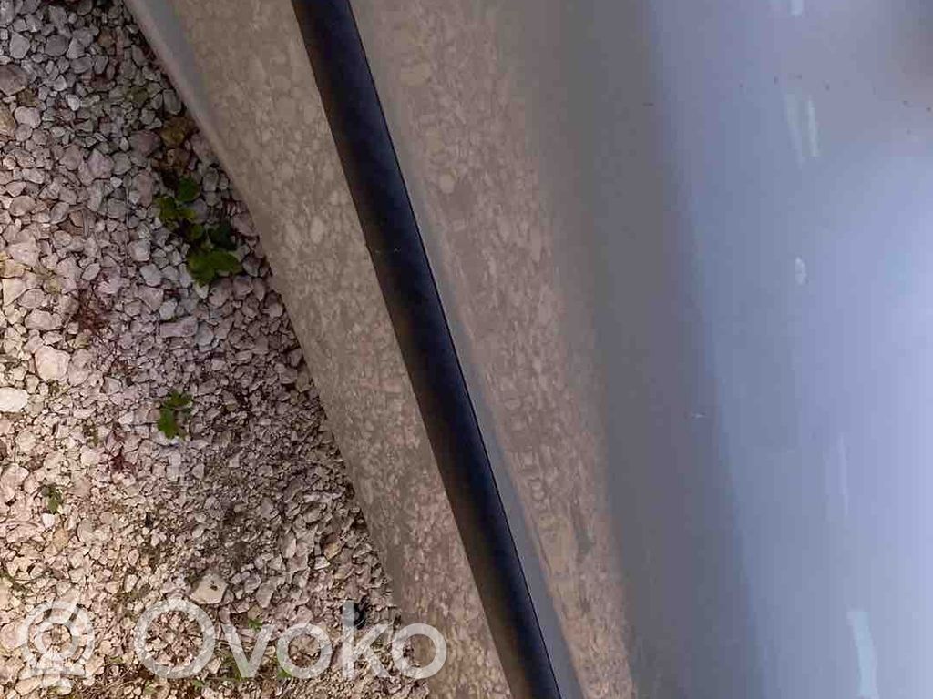 Peugeot 206 Listwa drzwi przednich