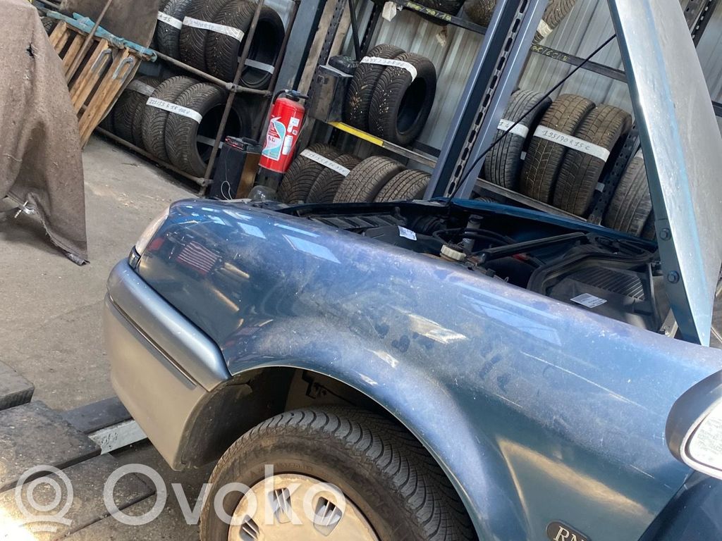 Renault 19 Guardabarro