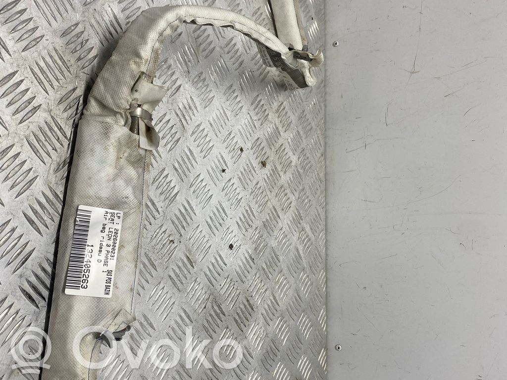Seat Leon (5F) Airbag del techo 