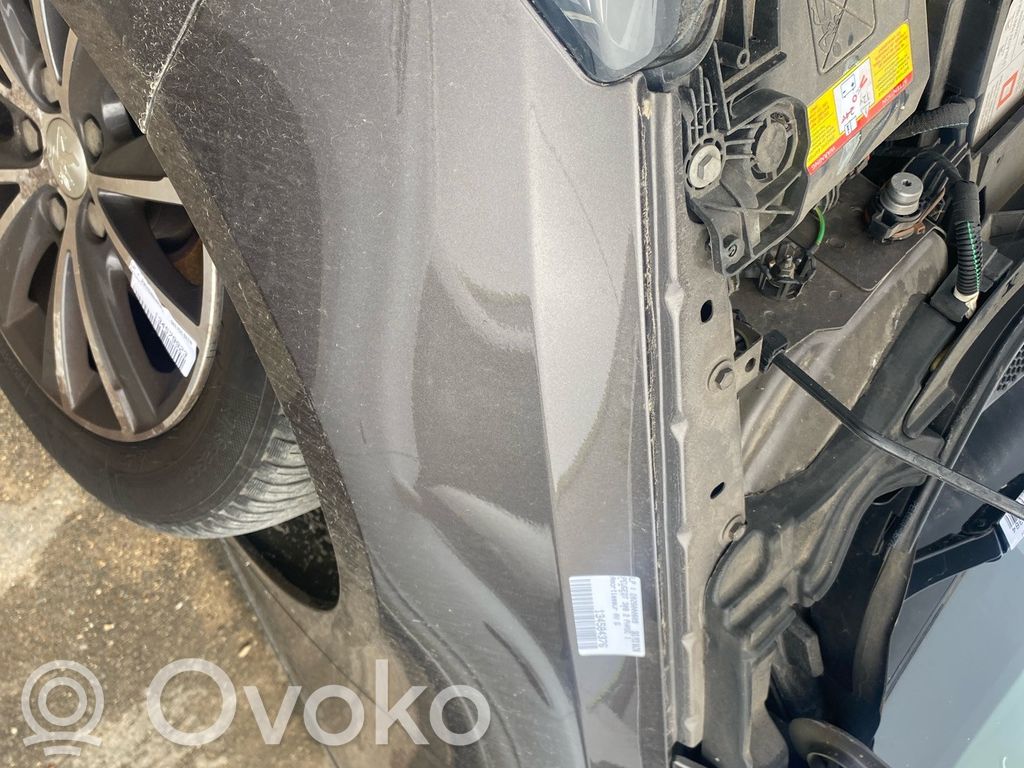 Peugeot 308 Guardabarro