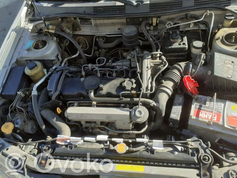 Nissan Primera Generatorius 