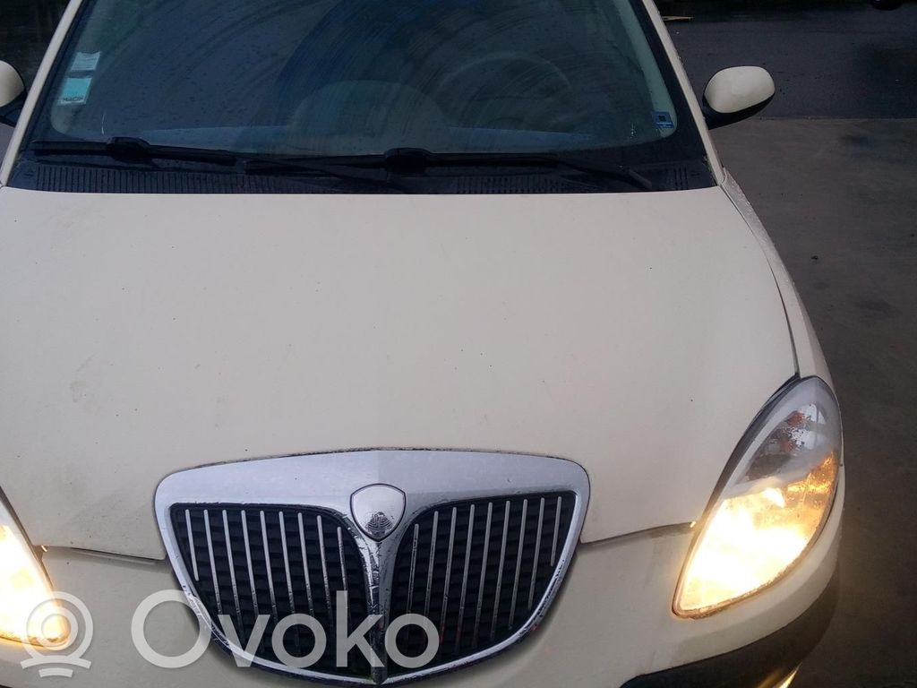 Lancia Ypsilon Konepelti 