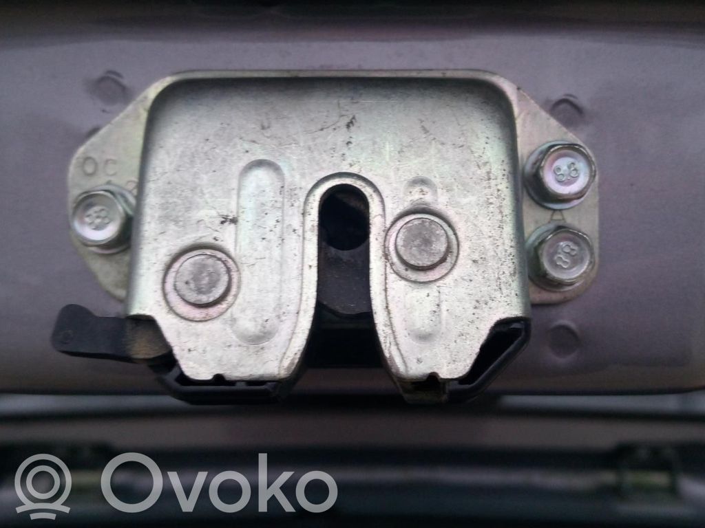 Chevrolet Aveo Spyna galinio dangčio 