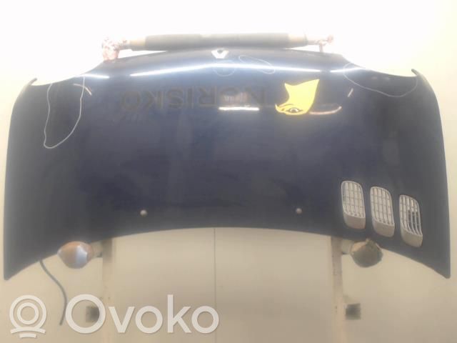 Renault Twingo I Konepelti 