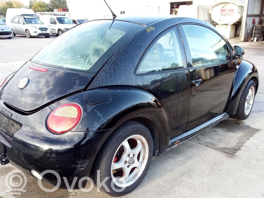 Volkswagen New Beetle Takajarrusatula 
