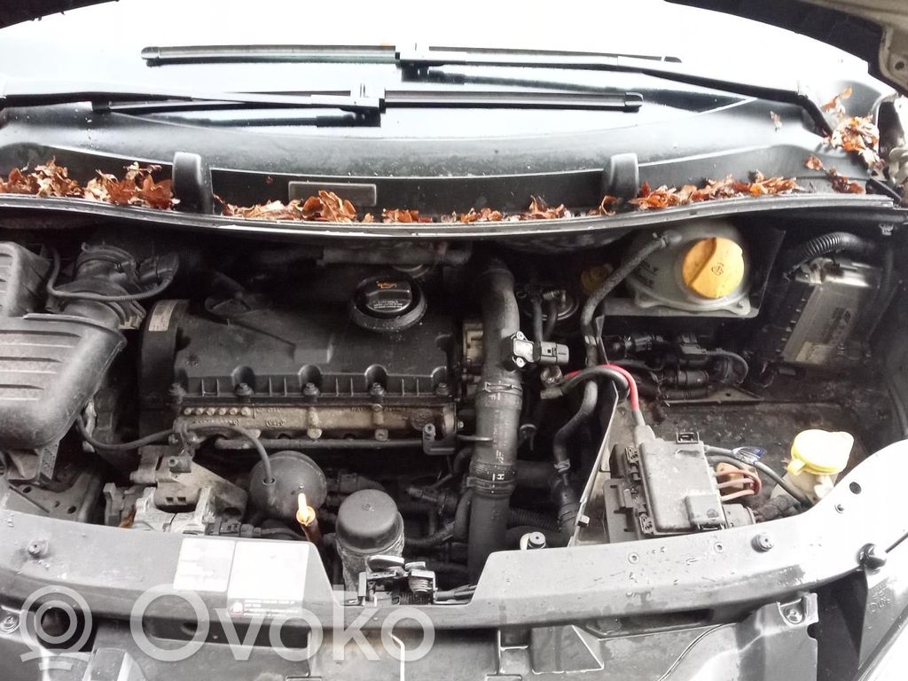Ford Galaxy Korek zbiornika wyrównawczego chłodziwa 