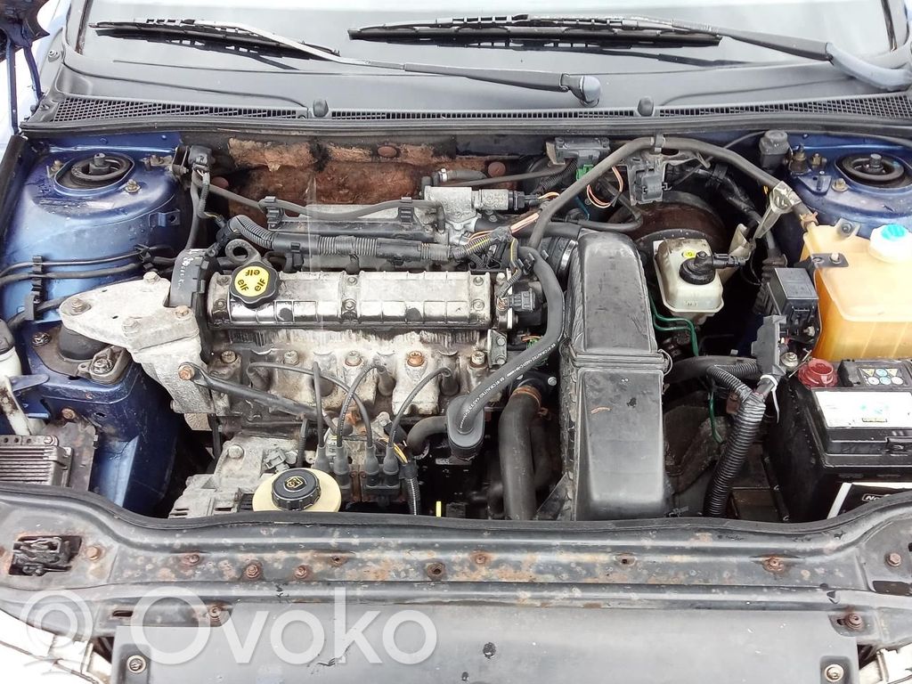 Renault Laguna I Wasserkühler 