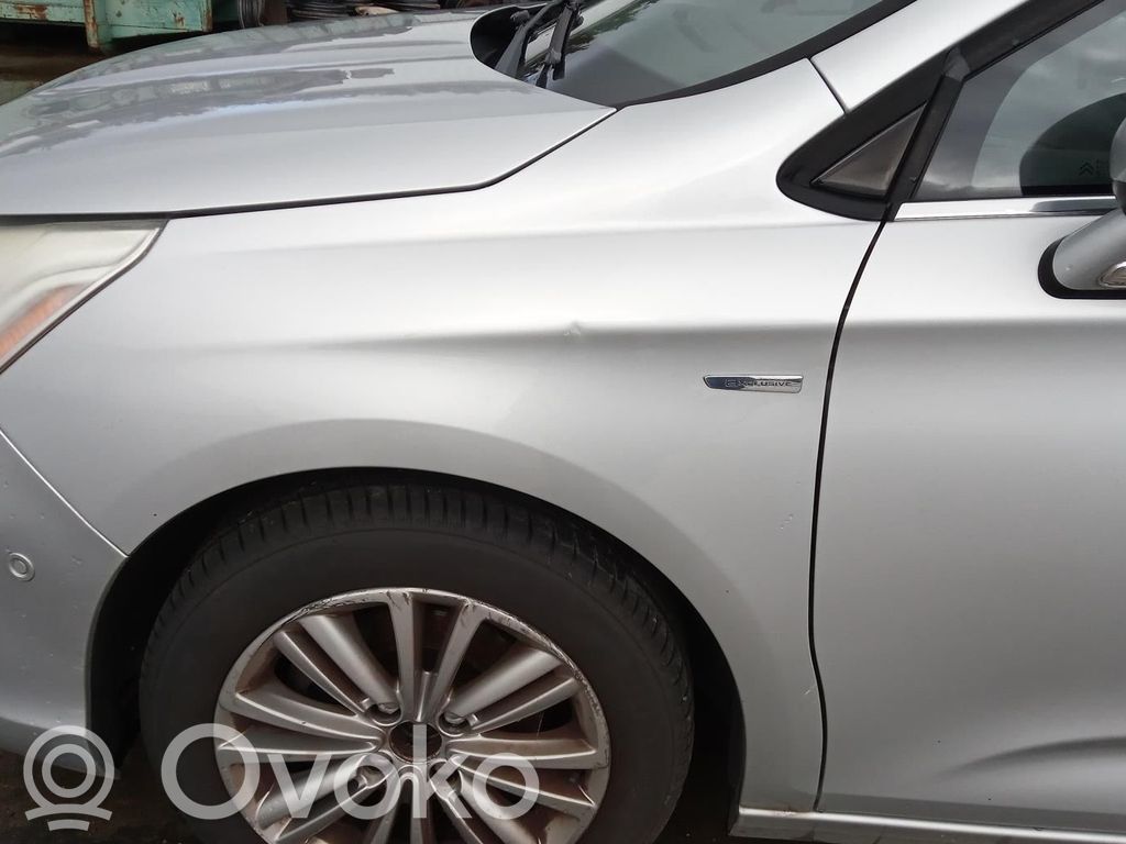 Citroen C4 II Guardabarro 