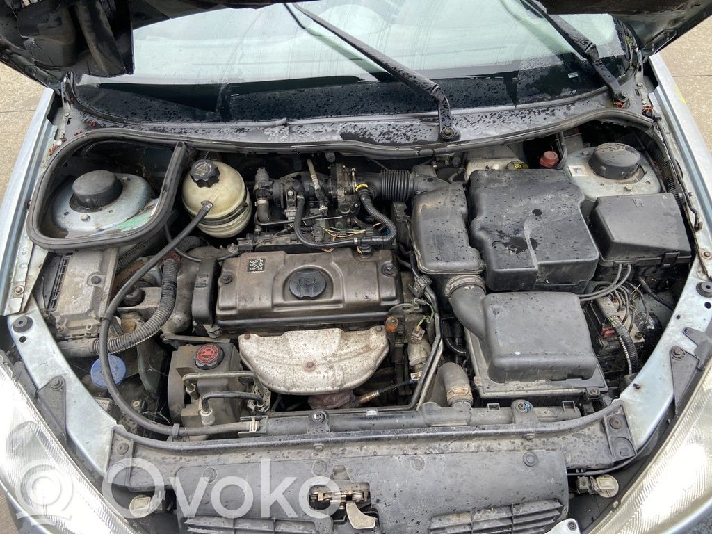 Peugeot 206 Variklis 