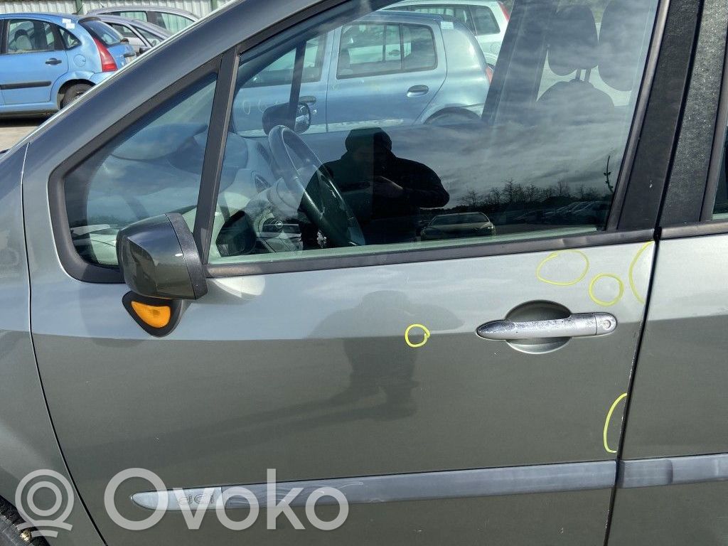 Renault Modus Durvis 