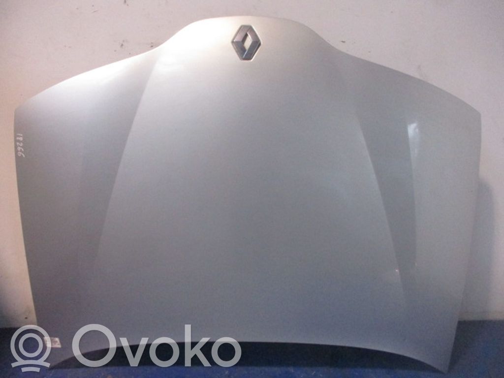 Motorhaube
