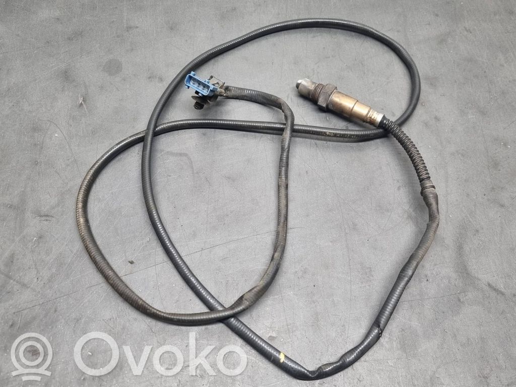 Lambda probe sensor   L6E42,0258006431,58123919