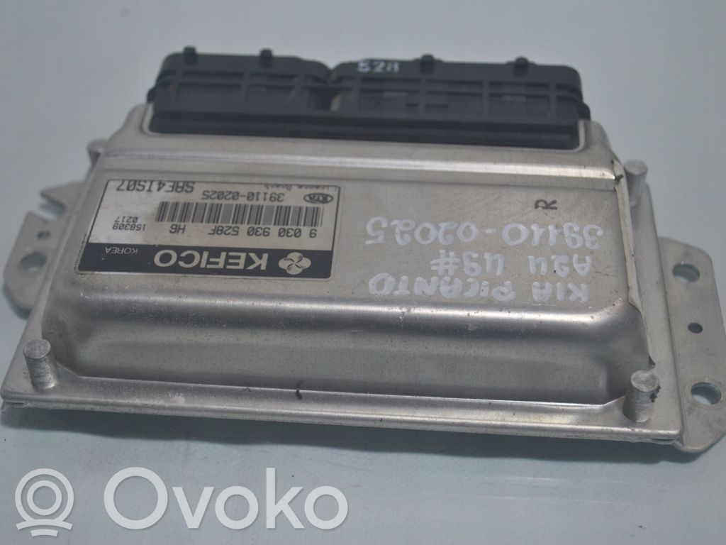 Engine control unit/module   3911002025