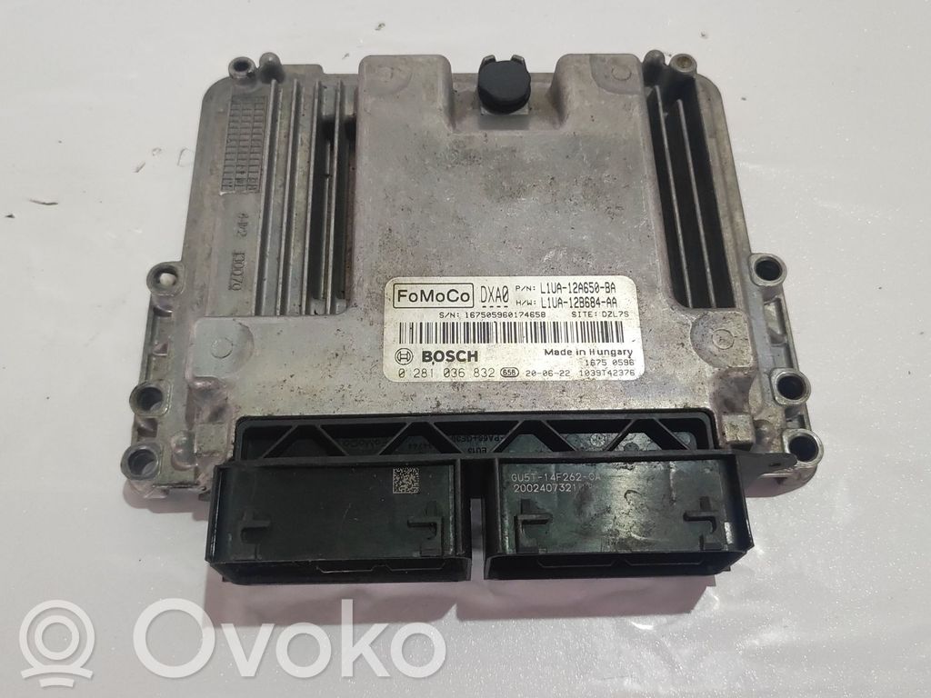 Engine control unit/module ECU   0281036832