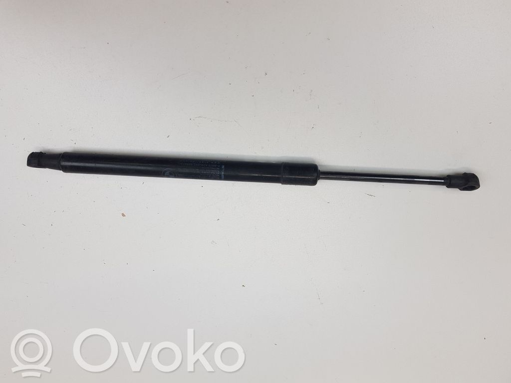 Bagāžnieka amortizators   7250308