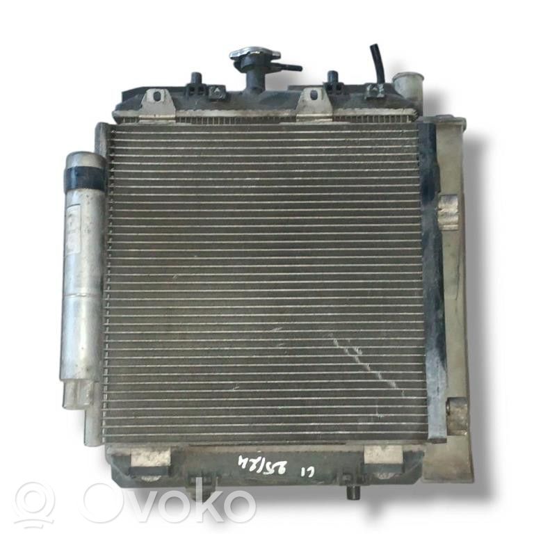 Radiator set   1330P4,1330P4,1KR