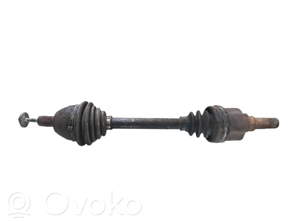 Priekšējā pusass   1682285,1682285
