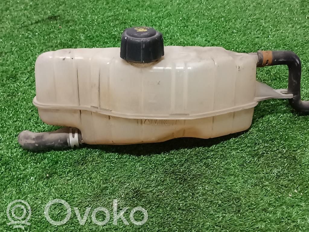 Renault Clio III Jäähdytysnesteen paisuntasäiliö 