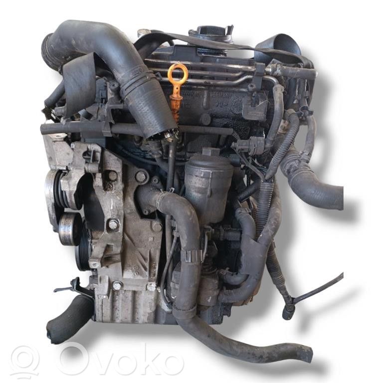 Volkswagen Polo V 6R Variklis 