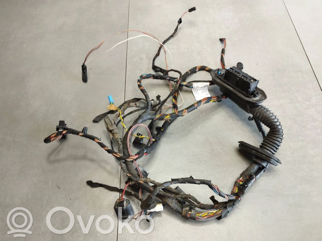 BMW X6 E71 Cableado de puerta delantera 