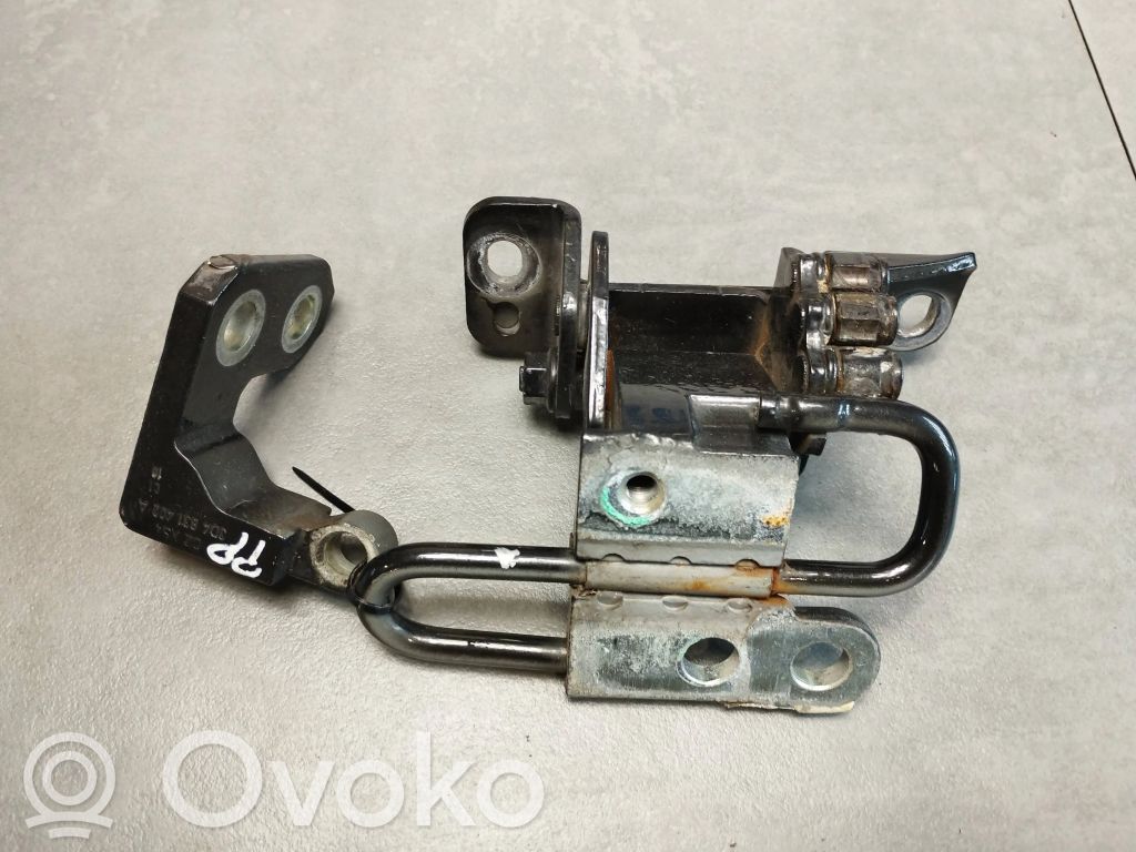 Volkswagen Phaeton Front door lower hinge 