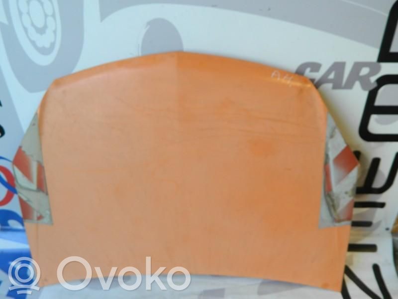Engine bonnet/hood   93178717