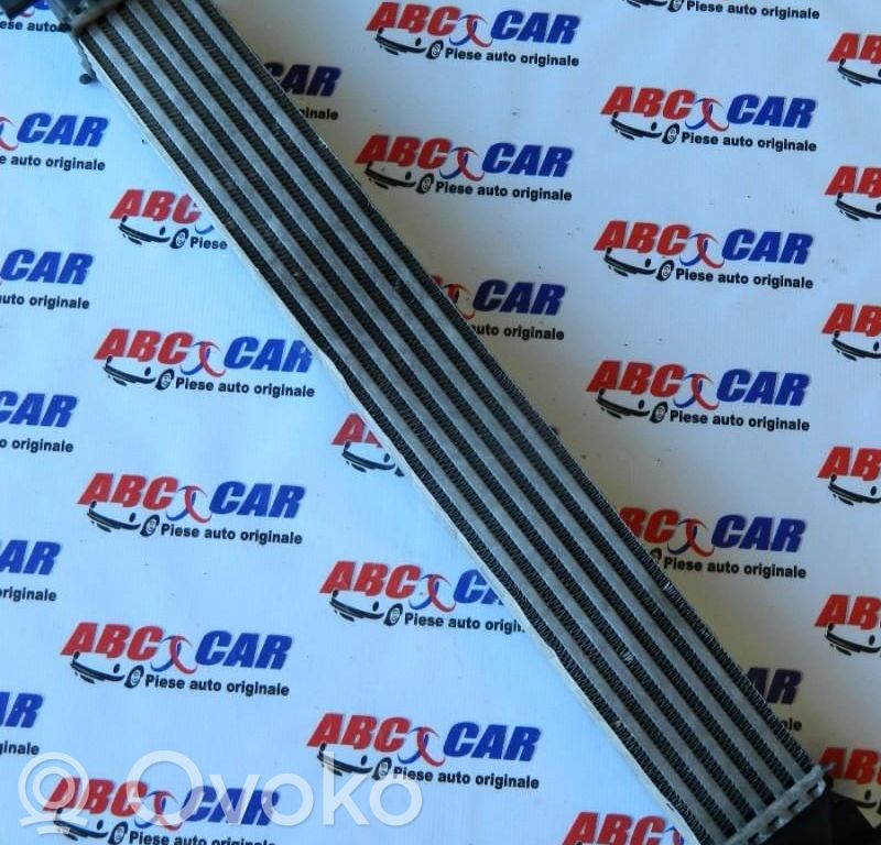 Volkswagen Polo V 6R Radiator intercooler 