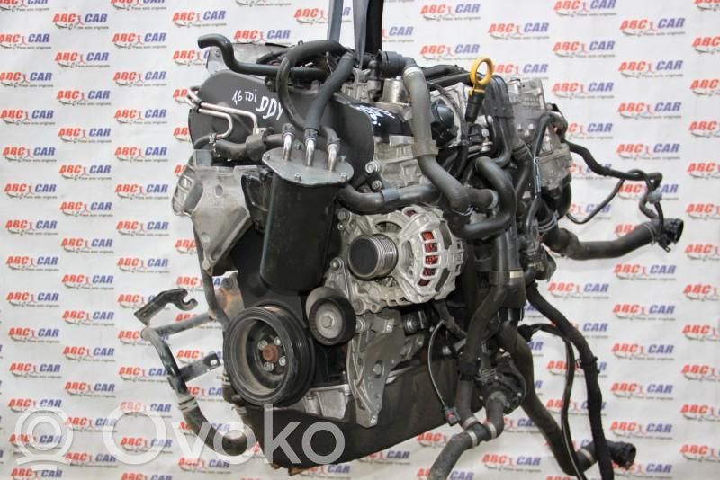 Motor   DDY