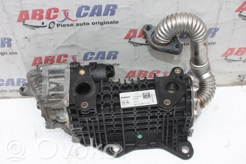 EGR-venttiili/lauhdutin   9813050280