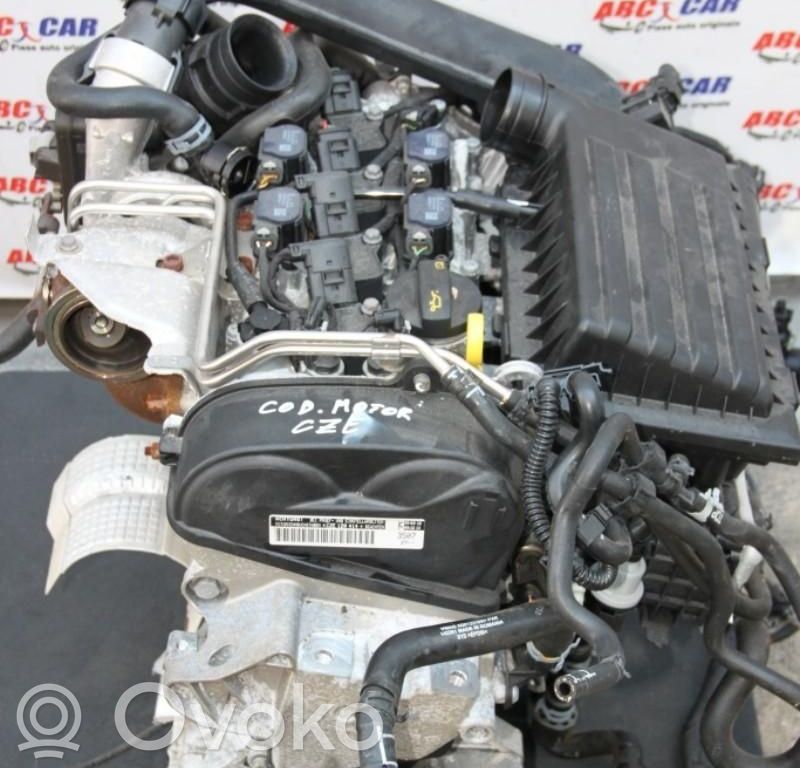 Seat Leon (5F) Motore 