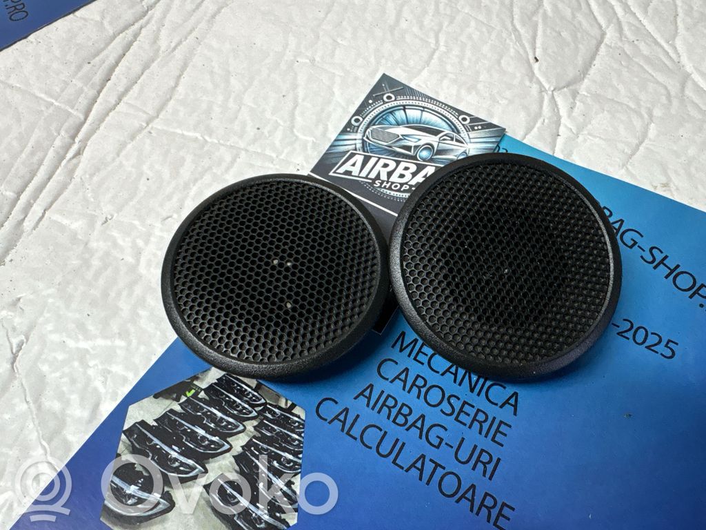 Panel speaker   D10E66960,6274550010