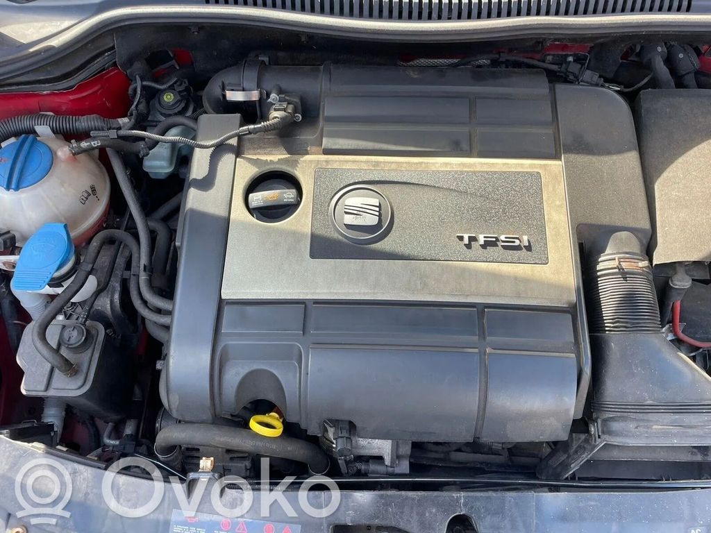 Variklis   SEATLEONALTEA,SKODAOCTAVIA