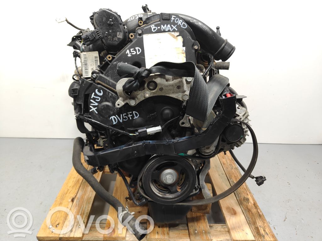 Ford B-MAX Engine 