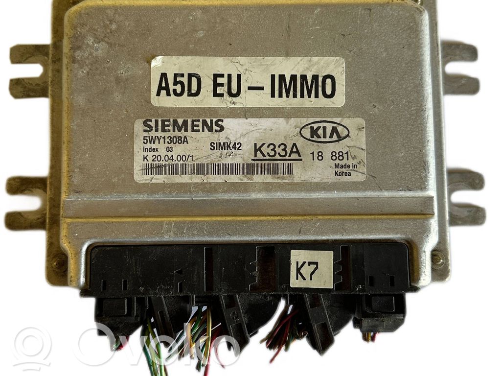 KIA Rio Engine control unit/module 