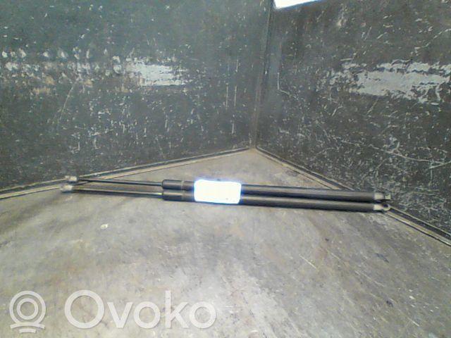 Tailgate/trunk strut/damper   904509U00C