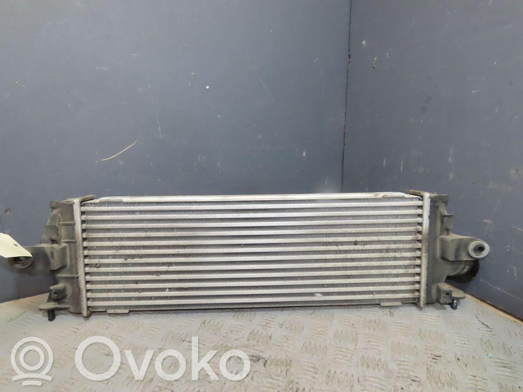Interkūlerio radiatorius   8200411160