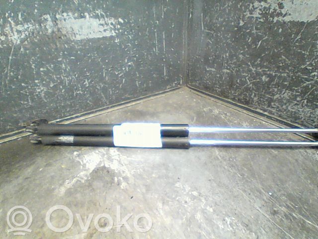 Tailgate/trunk strut/damper   C23563620E