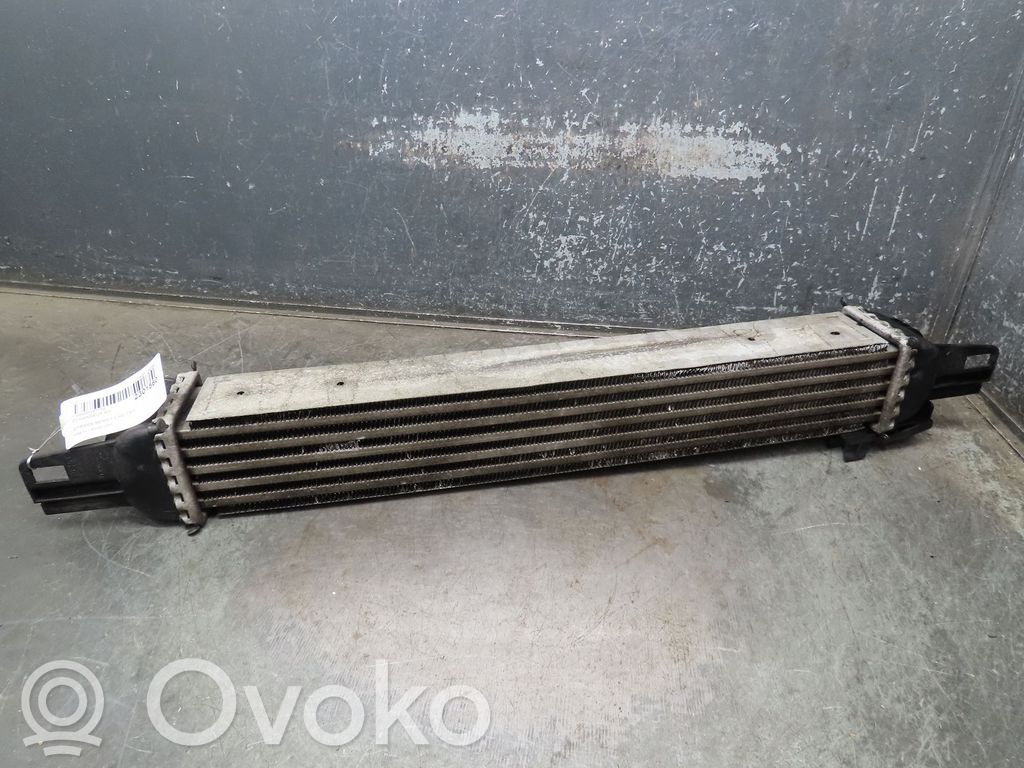 Citroen Nemo Interkūlerio radiatorius 