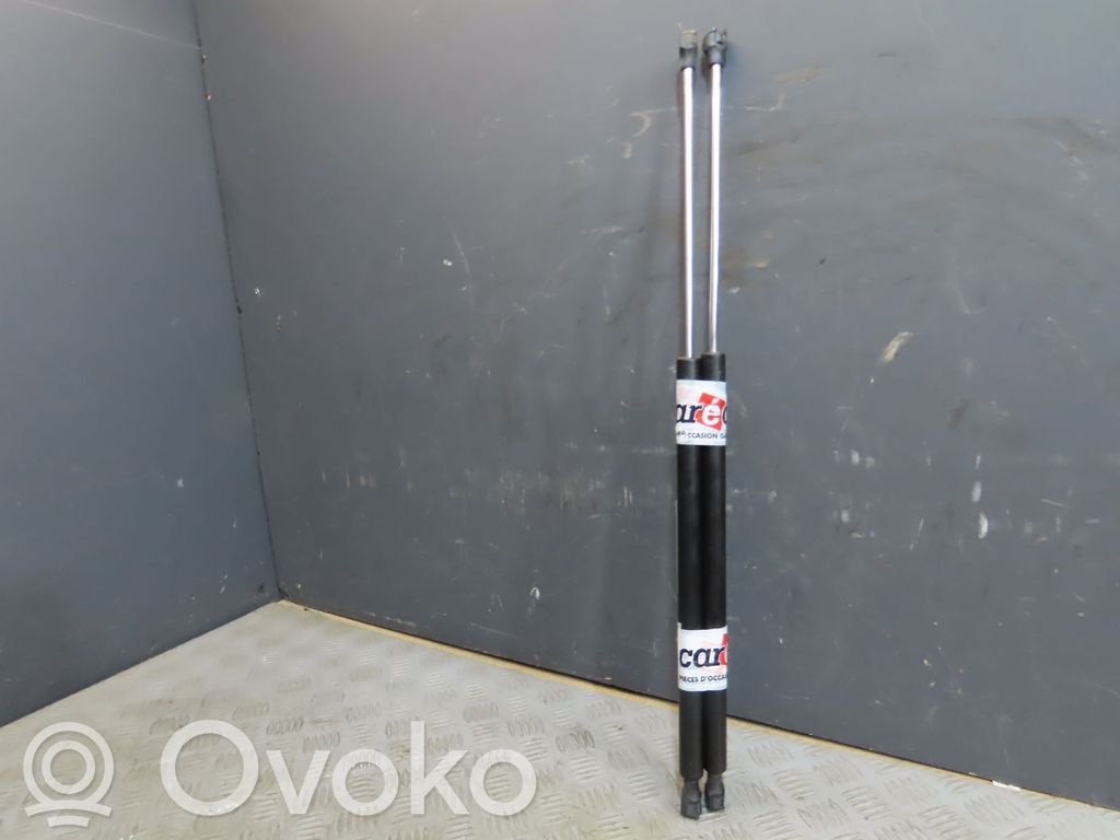 Tailgate/trunk strut/damper   8731G6