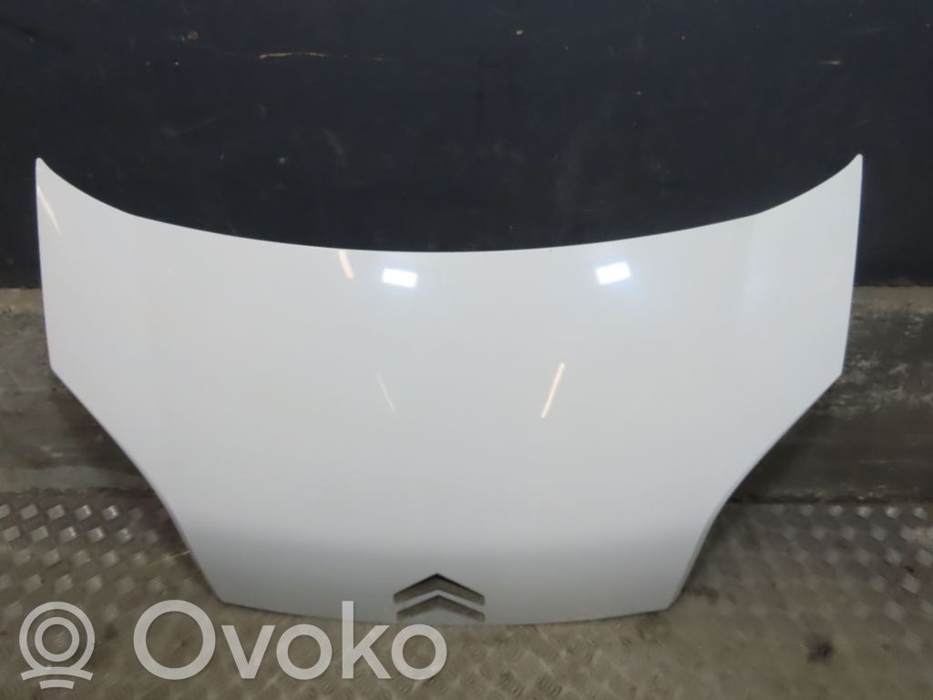 Konepelti   7901Q1