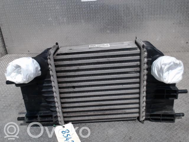 Nissan Note (E12) Interkūlerio radiatorius 