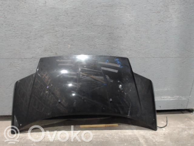 Dzinēja pārsegs (vāks)   7901Q3