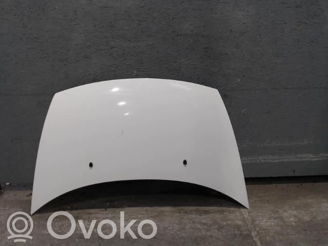 Dzinēja pārsegs (vāks)   7901K6