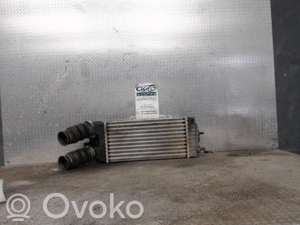 Intercooler radiator   0384G5
