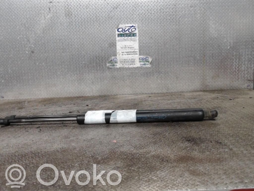 Tailgate/trunk strut/damper   1682845
