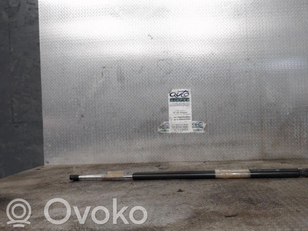 Citroen Jumpy Tailgate/trunk strut/damper 