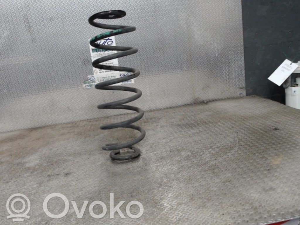 Rear coil spring   1859225